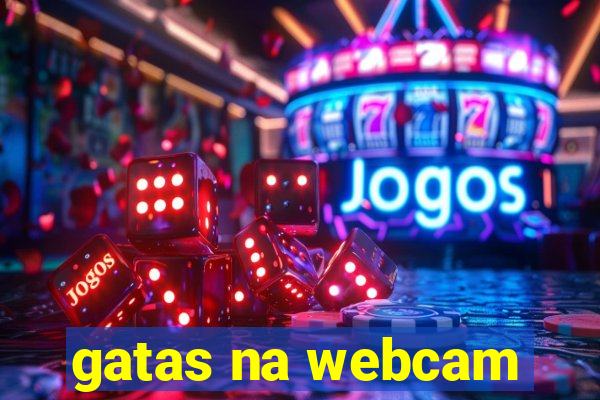 gatas na webcam